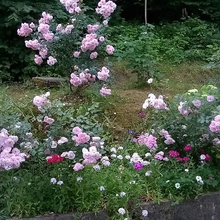 Сasa de vacaciones In Golik/gorski Kotar 14249