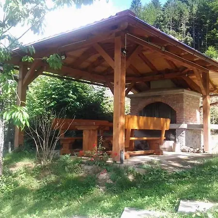 In Golik - Gorski Kotar 14249 別荘 *