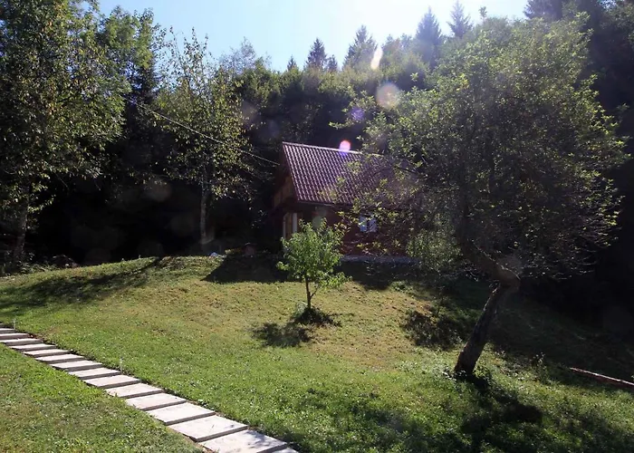 In Golik - Gorski Kotar 14249 *
